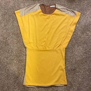 Selected Femme dress (NWOT)